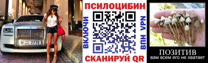 где продают   Палласовка  Галлюциногенные грибы GOLDEN TEACHER 